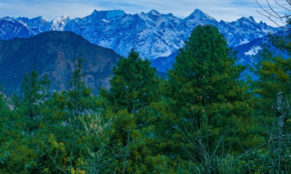 langtang valley greenery